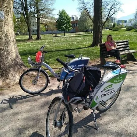 Sunshine Plus Free Parking