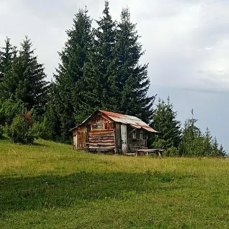 Sunshine Plus Free Parking * Sarajevo