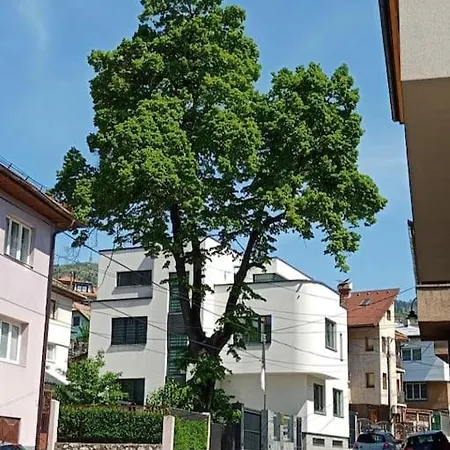 Sunshine Plus Free Parking Apartment Sarajevo