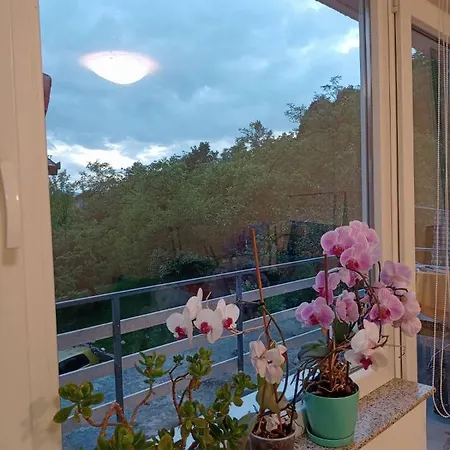 Apartment Sunshine Plus Free Parking